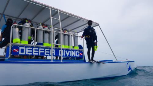 New Catamaran Dive Boat Launches in Carriacou