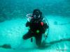 PADI OWSI INSTRUCTOR LOOKING FOR WORK ON THE GOLD COAST
