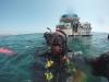 Diving with Seal at Laguna Beach - Crescent Bay.