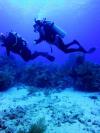Rooms available (Looking for Divers or non-Divers For Trip to Bonaire)
