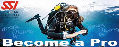 Do you want to change your life? Divemaster Internship