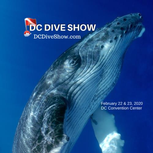 DC Dive Show Offers DiveBuddys.com Discount