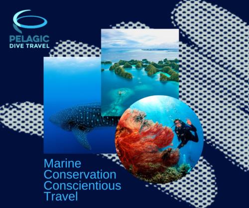 Marine Conservation Based Travel