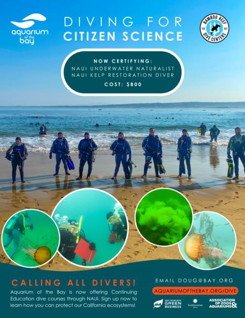 Diving for Citizen Science