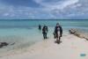 Lac Cai Shore Diving Remora Treasure By The Sea Bonaire