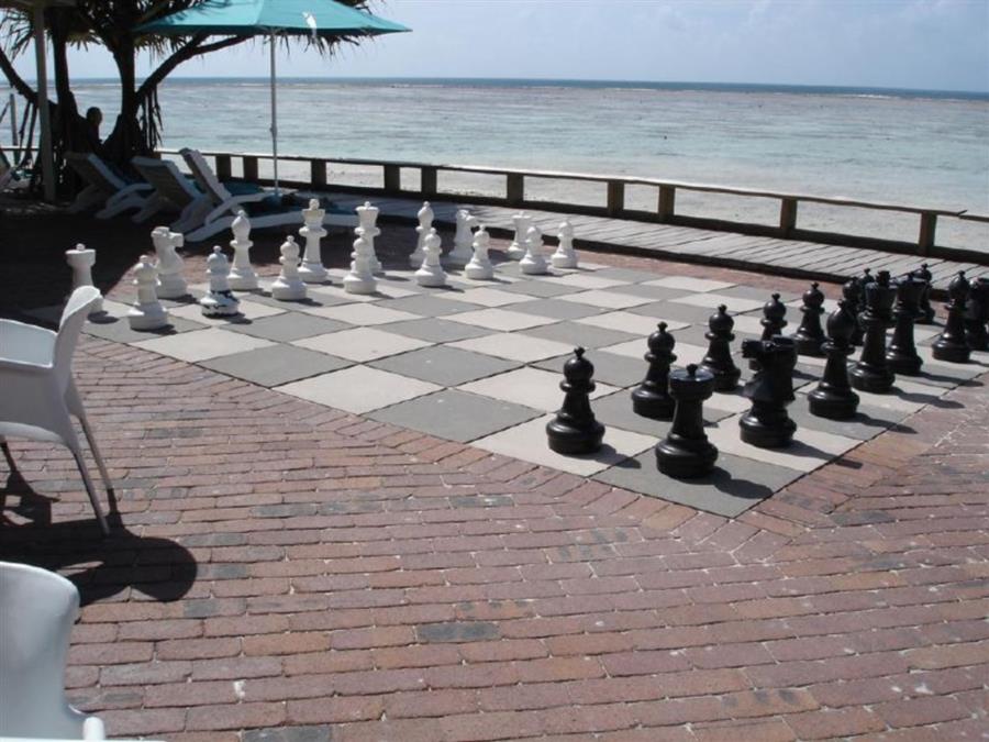 Heron Island - Chess in between Dives