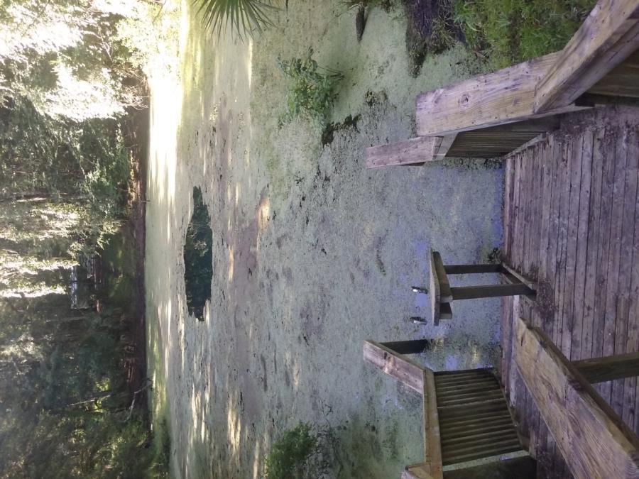 Catfish Hotel @ Manatee Springs State Park - Catfish hotel entrance