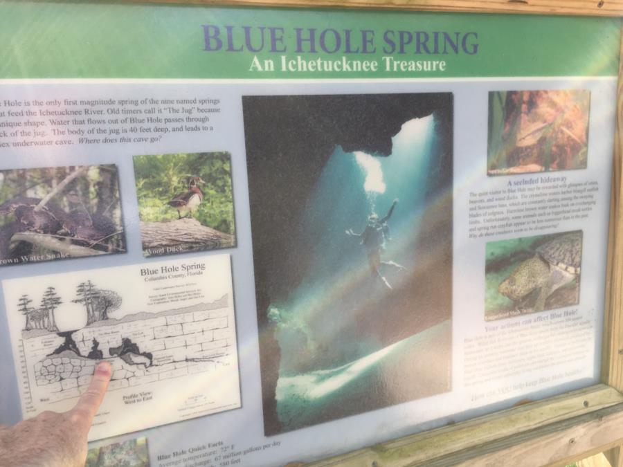 Jug Hole Spring, aka Blue Hole, Ichetucknee Park - Jug/Blue Hole Map