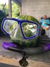 Watermelon Diver