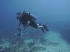 Cancun Wreck Dive #7 12/16