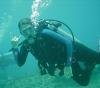 Scientific Diving, St Thomas, USVI