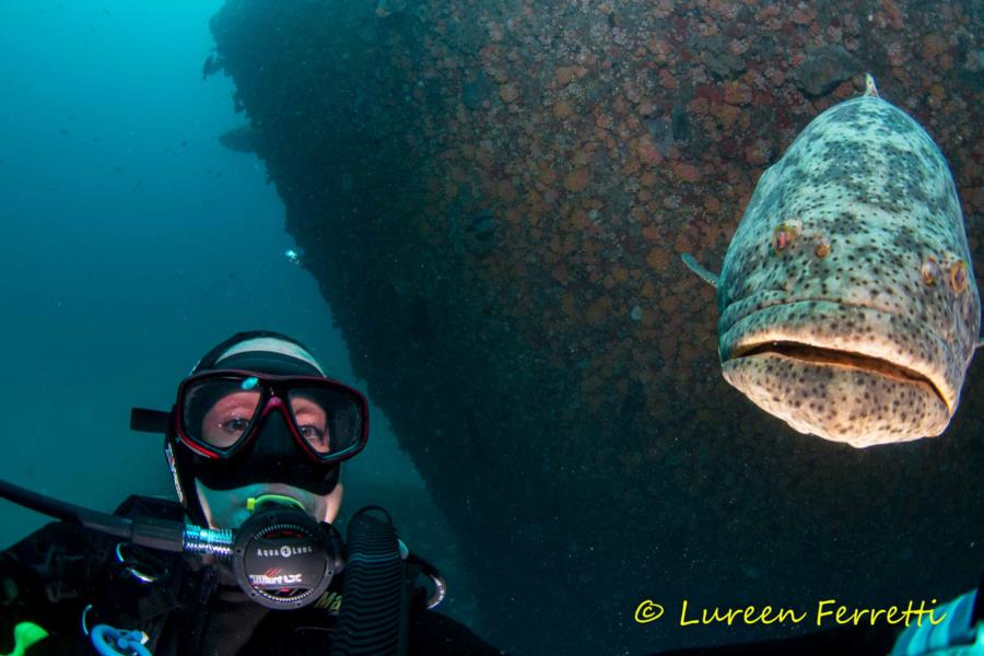 Selfie with a Goliath Grouper