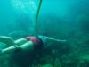 Exploring Fl Reef Hookah Diving All Day