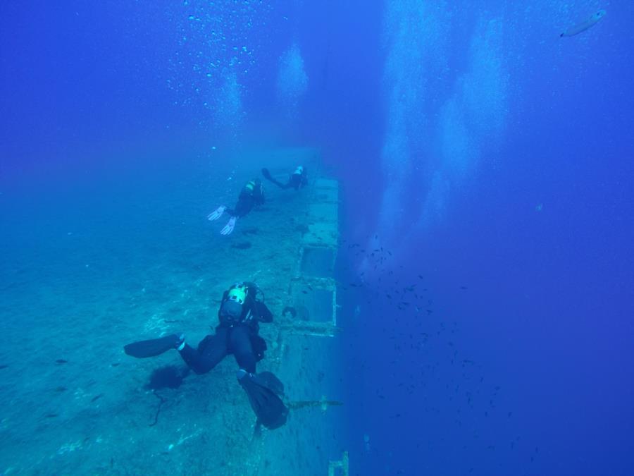 Divers Zenobia