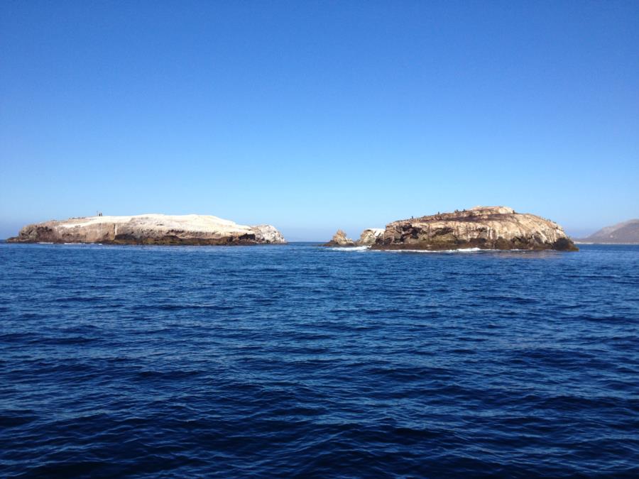 Gull Island off Santa Cruz Island