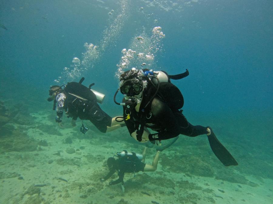 diving trip in fujairah