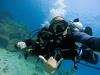 scuba dive fujairah - reefoasisdivingcenter