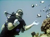 Travelling to Big Island (Hawaii) next week need buddy for shore dives