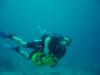 Barzie from Holly Springs NC | Scuba Diver