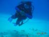 Audrey from Pacifica CA | Scuba Diver