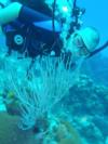 Jay Breen from West End Cayman Brac | Scuba Diver