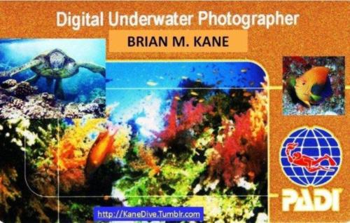 KaneDive Underwater Photography