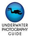 UnderwaterPhotoGuide