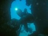Nigel from Perth Western Australia | Scuba Diver