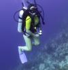 Melissa from Palm Beach Gardens FL | Scuba Diver