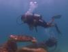 Video - Exploring Looe Key Reef in the Florida Keys