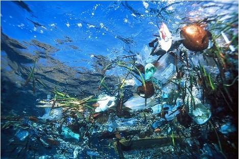 A Gyre of Marine Litter: The Great Pacific Garbage Patch, Trash Vortex