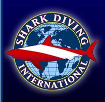 Shark Diving International at Our World-Underwater