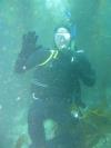 JERROD from Brea CA | Scuba Diver