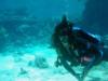 Seeking Wake Island dive map (US Minor Outlying Islands)