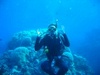 Where to dive in Costa rica if not Cocos island????