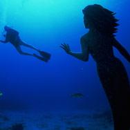 Grand Cayman Diving