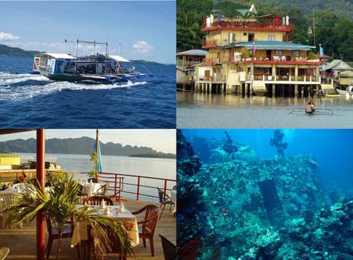 Apo Reef and Wreck Diving in the Philippines