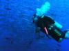 Francois Marais from Johannesburg Gauteng | Scuba Diver