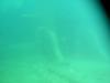 Tacoma tug  Lake Michigan - diverchet