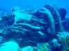 The Wreck of The Airplane (Hayes KB-50J) - Bermuda