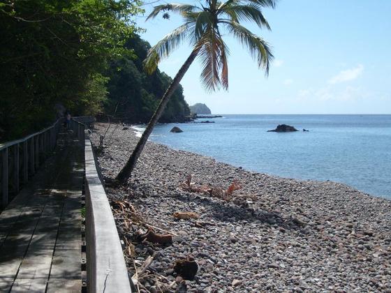 Champagne Reef - Beach at Champagne Reef in Dominica