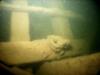 Underwater photo of shipwreck in Lake Erie