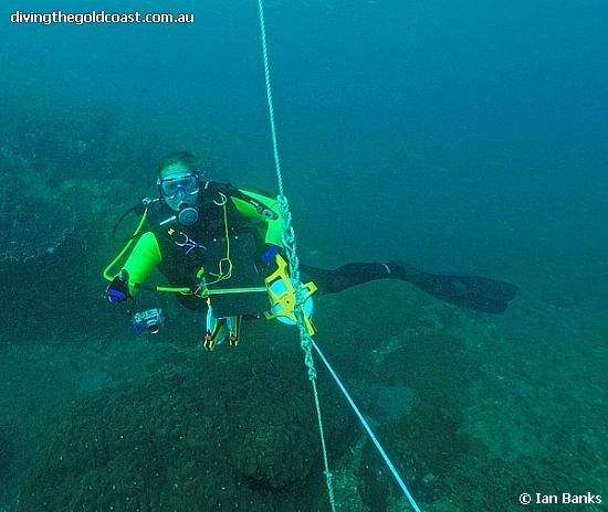 Shag Rock - Gemma Routledge at the start of the Reef Check transect line, Shag Rock Moreton Bay QLD Australia