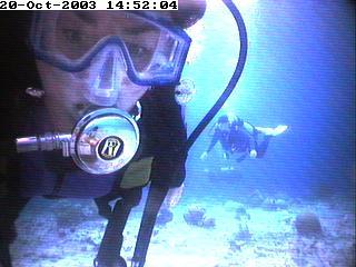 small wall reef cam-bonaire