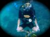 diving phi phi thailand