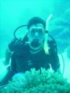 Diving in Bora Bora