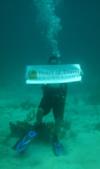 The first underwater shot with my foundation’s banner!