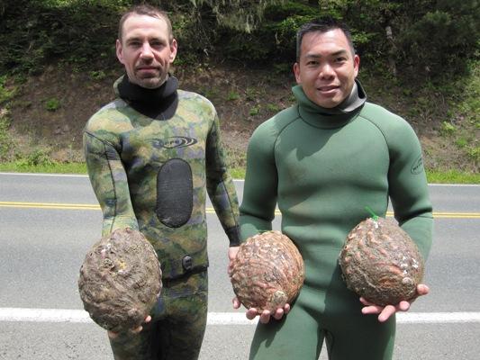 more ten inch abalone