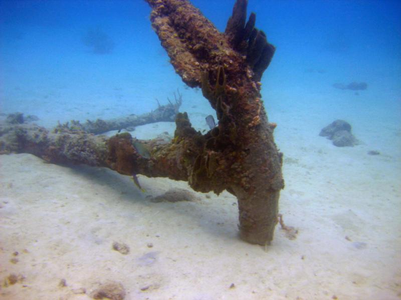 Anchor Barbados