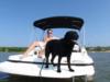 Wet Dog and Me on Boat